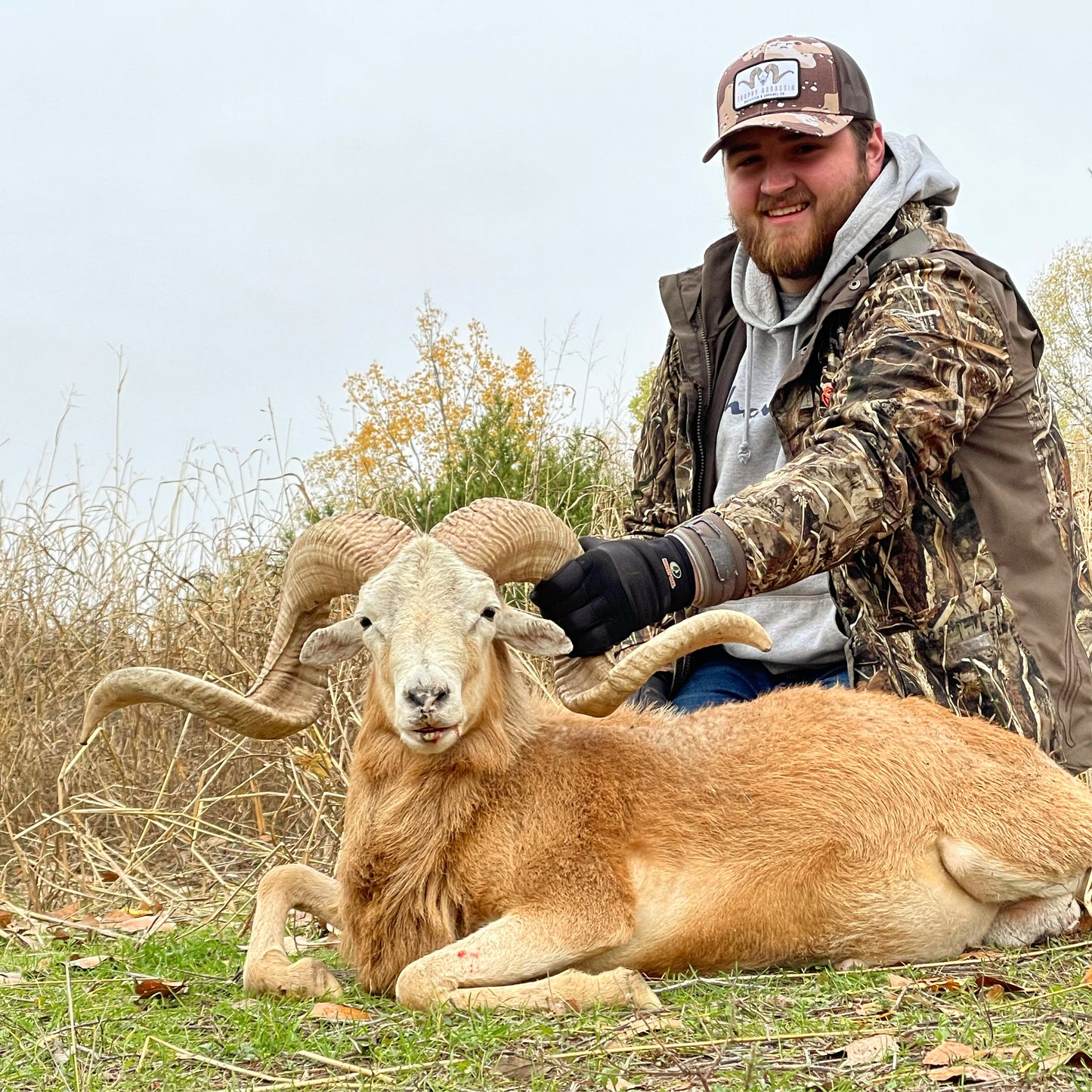 Desert Camo Ram Patch Cap